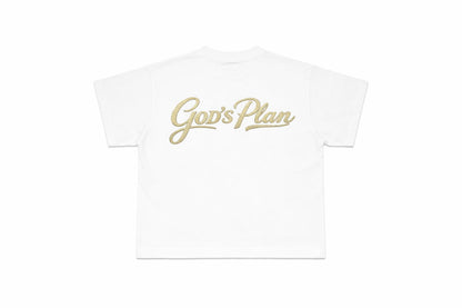 Good’s plan piedreria