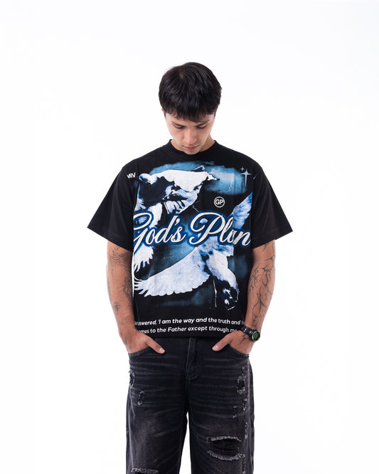 Good’s plan piedreria